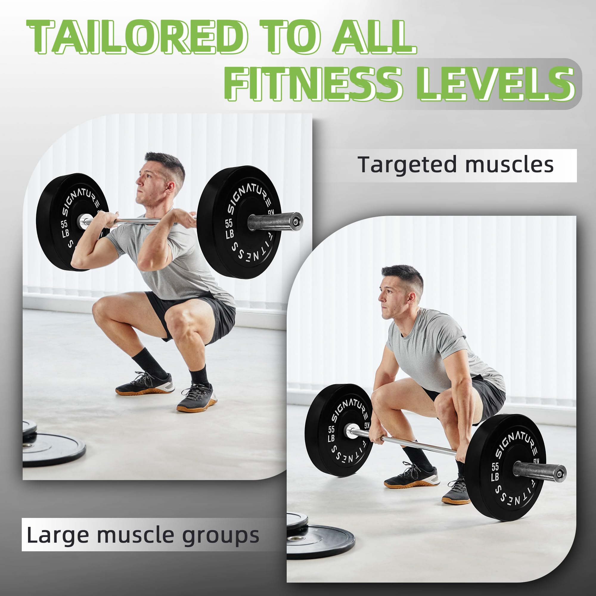 Amazon.co.jp: Signature Fitness 2インチ オリンピックバンパー